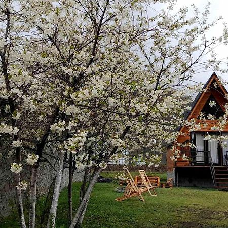Thomas' Hut Apartment Stepantsminda Exterior photo